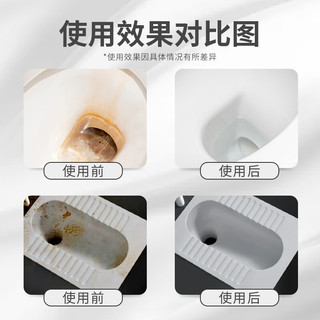 HOWARD日本进口洁厕灵马桶清洁剂除垢去味洁厕剂卫生间去黄去渍洁厕液 1瓶
