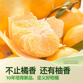 京鲜生 四川眉山黄金柑 果冻橙 2.5kg礼盒 单果250g 起  新鲜水果