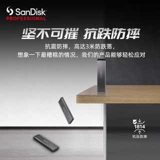 SanDisk professional 闪迪大师 极刃PRO-BLADE 模块化固态硬盘 4TB SSD 移动硬盘