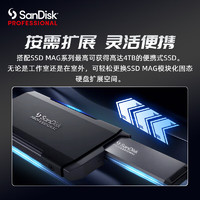 SanDisk professional 閃迪大師 PRO-BLADE SSD MAG 模塊化固態硬盤1t