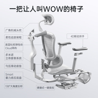 SIHOO 西昊 Doro C100人体工学椅 电脑椅家用办公椅 椅子久坐舒服老板椅