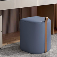 密林轻奢化妆凳女生卧室梳妆台凳子简约现代网红方凳椅子换鞋凳小凳子 D型凳-蓝