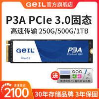 GeIL 金邦 P3A m.2固态4tb