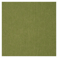纳仕德DMQ929商用办公室自粘拼接方块毯免胶防滑拼接垫 绿色*11片/约1平