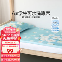 水星家纺 A类可水洗机洗印花凉感冰丝席单双人可折叠凉席 风沐湘晴可水洗印花冰丝席(海藻) 90cm*195cm