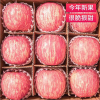 PLUS会员：陕西正宗洛川 精品红富士苹果10斤装
