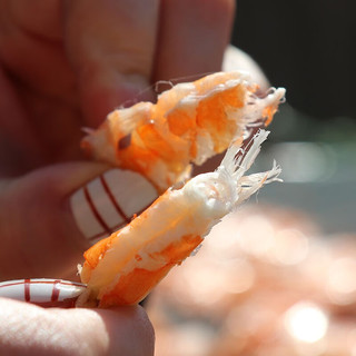 海鲜颂即食烤虾干 干虾对虾干 淡干海虾干低温海产干货虾类 海米虾仁干 XL 500g