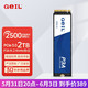 GeIL 金邦 P3L固态硬盘台式机SSD笔记本电脑M.2(NVMe协议)高速m2 P3A 2T 2500MB/S