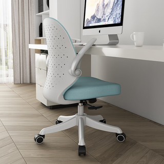 中伟（ZHONGWEI）电脑椅办公椅人体工学椅家用写字椅可升降学生椅可调节网布椅子