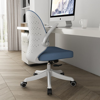 中伟（ZHONGWEI）电脑椅办公椅人体工学椅家用写字椅可升降学生椅可调节网布椅子