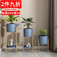 索尔诺(SuoErnuo)轻奢多层铁艺花架室内客厅绿萝花架子阳台多肉吊兰落地花盆置物架 小号矮款灰蓝