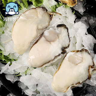 海鲜世家 冷冻生蚝肉（大号牡蛎肉）500g 33-40只/袋 火锅烧烤食材 方便菜