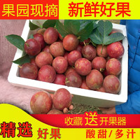 张小壮 广西百香果 新鲜百香果 精选生鲜水果4.5-5斤约45-55个