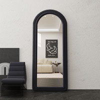 轻奢风异形穿衣镜子高级感网红全身镜卧室落地镜家用试衣镜装饰镜