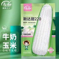 寿禾 白色水果玉米种子生食大棒 寿禾斯达甜220玉米种子100g