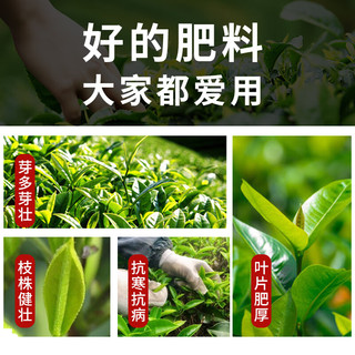 世家茶叶生长素专用叶面肥茶叶催芽素催芽剂爆牙素水溶肥嫩芽素2.5kg