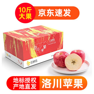 云鲜风 洛川苹果大果10斤带箱约18枚85mm新鲜自营甜脆水果单果220g-320g