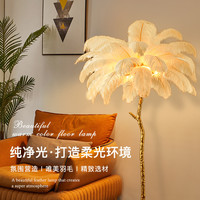 落地灯客厅灯设计感氛围感羽毛网红高颜值沙发旁边卧室灯装饰台灯