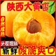 陕西大黄杏净重2.8斤当季新鲜孕妇酸甜水果整箱包邮