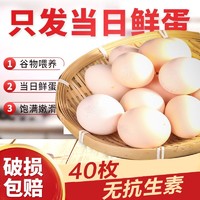晋龙食品 40枚鸡蛋新鲜鸡蛋(平均单枚45g左右)红心蛋晋龙非农家土鸡蛋