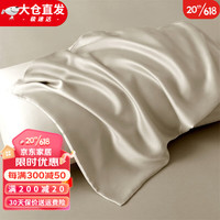 KooWispo100支兰精天丝枕套一对装单人100%莱赛尔冰丝枕头套 铂光金 48*74cm(一对装)