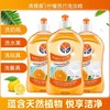 XB清雅香洗洁精果蔬净家用500ml*3瓶 去污厨房清洁剂水果蔬菜