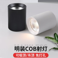 索亚达（suoyada）明装射灯led圆筒形店铺商用家用走廊过道免开孔吸顶式防眩cob筒灯 白光6000K 黑色10瓦（高10cm直径8cm）
