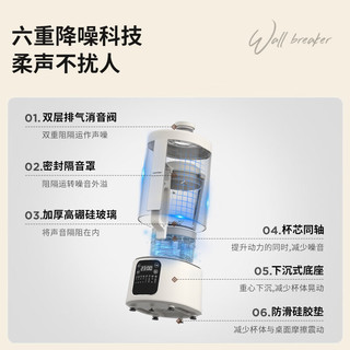 BLAUPUNKT 蓝宝 德国蓝宝升级款PB09