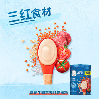 Gerber 嘉宝 米粉番茄牛肉+缤纷水果+蔬菜礼盒250g*3罐