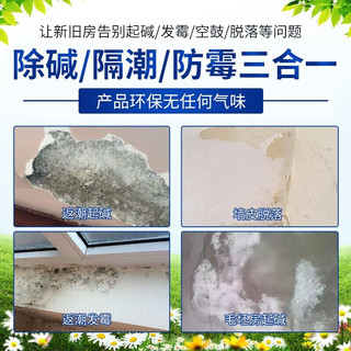 耐博仕墙面反碱发霉处理防潮渗水起碱克星固沙剂防霉抗碱王界面消碱一号 固沙宝2KG