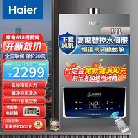 移动端、京东百亿补贴：Haier 海尔 燃气热水器天然气  13升  FA03