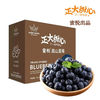 CP蜜悦 云南高山蓝莓 脆甜单果14mm+ 12盒装 125g/盒 生鲜水果