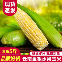 移动端、京东百亿补贴：中鲜生 现摘水果玉米 5斤装