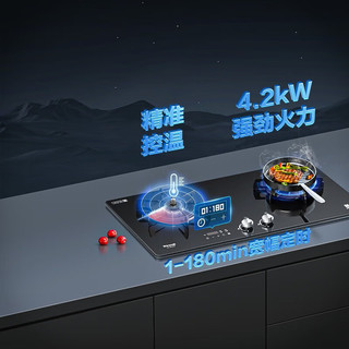 林内（Rinnai）星厨精准控温智能燃气灶 双灶 家用嵌入式天然气控温定时防干烧 JZT-2Q2LGHP