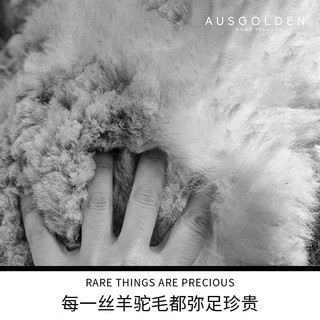 AusGolden澳洲原装进口金牌羊驼毛被芯 100%雪域羊驼毛 恒温控制抑菌四季被 100%羊驼毛200*230cm-四季被