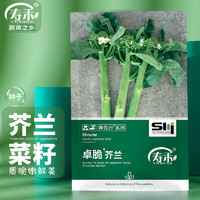 寿禾 shouhe 芥兰种子四季种植春季蔬菜种籽 潍育卓脆芥兰种子20g/袋