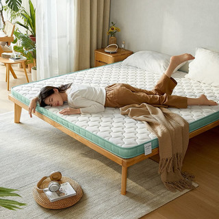 林氏家居折叠椰棕床垫薄款5cm厚家用床垫CD372 椰棕D款 1200mm*1900mm