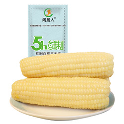 闲居人 东北白糯玉米 200g*6支