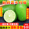广东香水柠檬新鲜一级果海南应当季水果无籽青柠檬奶茶店专用9斤