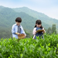 包邮区亲子游王牌，带娃去竹海过暑假！Club Med Joyview安吉度假村 高级房1-2晚套餐（含2大1小早餐+丰富亲子活动）