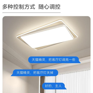 鹿家良品（LUUGAA）方形极简客厅吸顶灯现代简约大气卧室智能灯具全屋套餐 方形55cm三色光29w