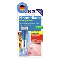 tetesept 德舒倍 鼻粘膜修复软膏 5克