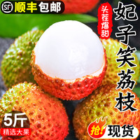海南妃子笑荔枝新鲜水果当季整箱应季现摘现发鲜荔枝5斤早熟包邮