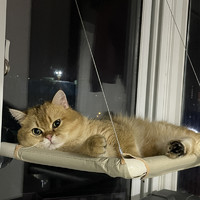 D-cat 多可特 猫吊床窗户玻璃阳台猫咪床爬架夏季悬挂式吸盘晒太阳神器猫窝用品