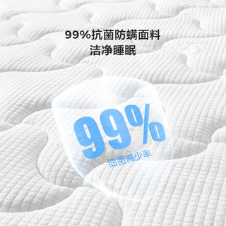 林氏家居泰国进口天然乳胶床垫独立弹簧1.8米硬垫家具 加厚B款床垫+防螨波浪乳胶枕*2 1500*2000mm