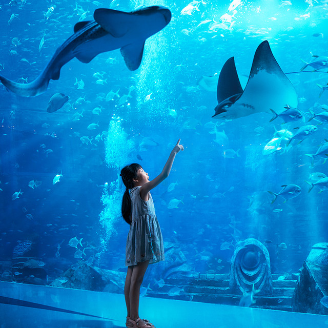 4晚连住刚需入，水世界、水族馆畅玩！亚特兰蒂斯海景房2晚+三亚半山半岛帆船港酒店2晚