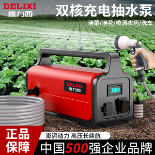 德力西（DELIXI）充电式户外抽水泵浇菜洗车神器5400mah双核+40米水管