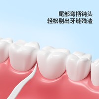88VIP：海氏海诺 包邮海氏海诺口腔清洁牙线棒牙科洁治器凑单超细牙线棒100支*3包
