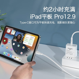 德力普（Delipow）Type-C数据线双头 100W快充线 适用于iPad Pro华为小米安卓手机戴尔惠普笔记本电脑  100W双C口快充数据线