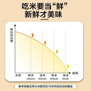 惠寻 京东自有品牌 现磨五常大米5kg/10斤 稻花香2号 23年新米真空装